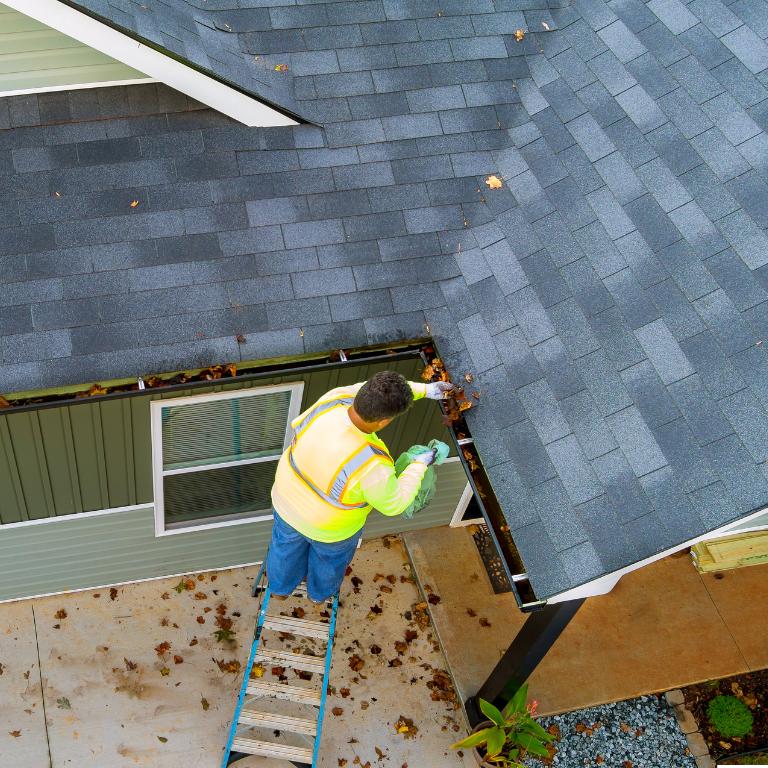 Gutters and Eaves cleaning